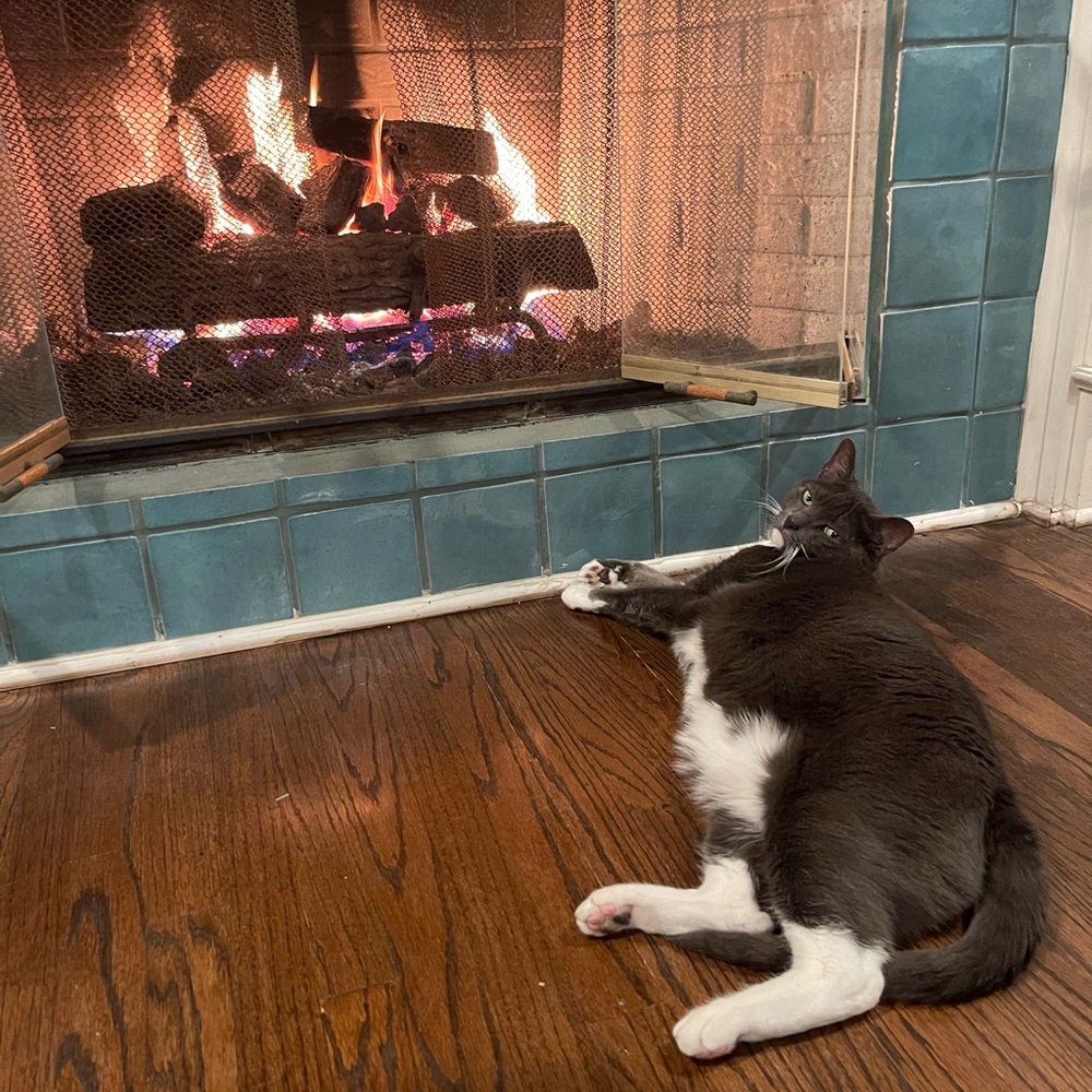 Meet your Posher, Samantha